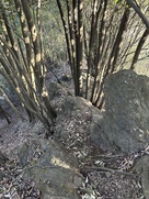 急峻な岩場の細尾根を行く登城路