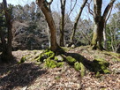 天守台跡の苔むした石垣…