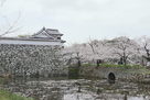 下ノ橋御門と魚見櫓…