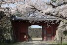 赤い追廻門と薄桃の桜…