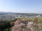 仙元山から小川町眺望