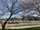 三日月公園から月山富田城を望む…