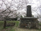 桜に囲まれた舞鶴城趾碑…