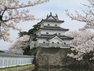 桜に彩られる御三階櫓…