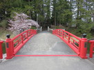桜咲く菱門橋