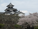 桜咲く清水門横から三重櫓…