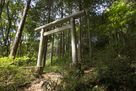 登山道途中の鳥居…