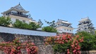 福山城とバラ