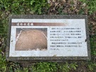 道路状遺構説明板