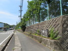 旧東海道沿いの案内板…
