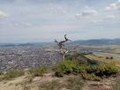 八幡山城　出丸跡からの眺望…