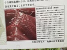 傘松城の赤色立体地図(案内板より)…