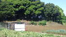 意冨比神社脇の耕作地から見える土塁