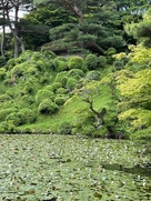 霞ケ池と洗心亭