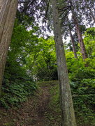 春日山城　空堀…