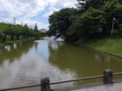 戸澤神社への参道脇の水堀と土塁…