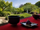 西尾城と抹茶