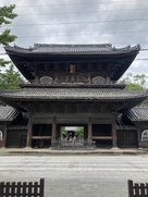 大樹寺