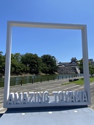 Amazing Toyama