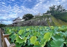 城郭全景