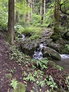 登山道(英林塚ルート)…