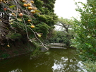 三日月池