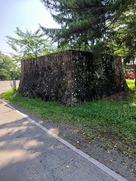 本丸櫓門石垣