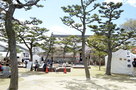 春の岸和田城二の丸広場（2013年）
