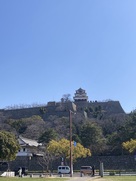 天守(公園より)