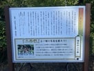 若き日の家康・秀吉二公と引間城説明板…