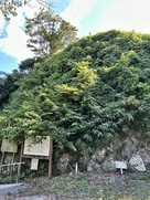 西ノ丸の石垣