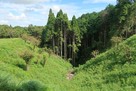 勝間田城 大堀切東の自然地形の谷…