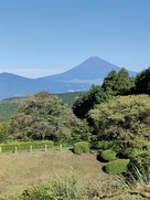 西ノ丸から見た富士山…