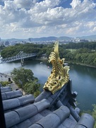 岡山城本丸の金鯱。月見橋と後楽園を添えて…