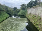 廊下橋から見た本丸東側の堀