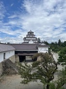 干飯櫓から見た鉄門と天守