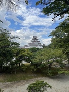 城東側土塁上から見た天守