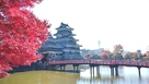 西側からの松本城と埋橋…