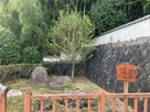 善徳寺跡の三国同盟の庭