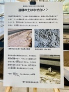 静岡市歴史博物館　遺構の土はなぜ白い？…