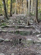 八幡神社への参道石段…