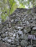 壺阪口門付近の石垣…