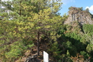 長岩城 弓型砲座から見た石積櫓方面