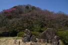 鷺山公園より城址を臨む…