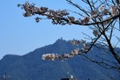 鷺山公園からの岐阜城…