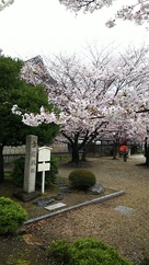 城址碑と桜