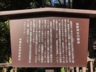 案内板『熊野神社の樹林』…