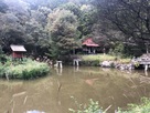 竜泉寺庭園