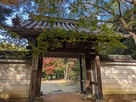 伊勢上野城跡内にある円光寺の山門