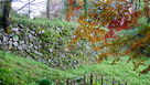 本丸土塁石垣と紅葉…